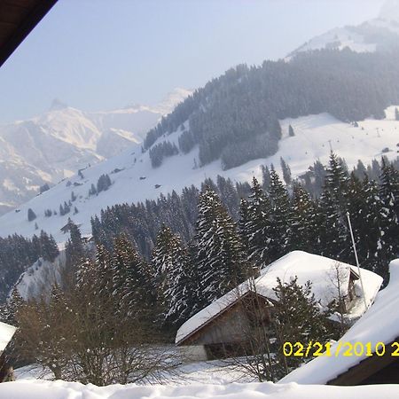 Apartment Nadeschda Adelboden Bagian luar foto