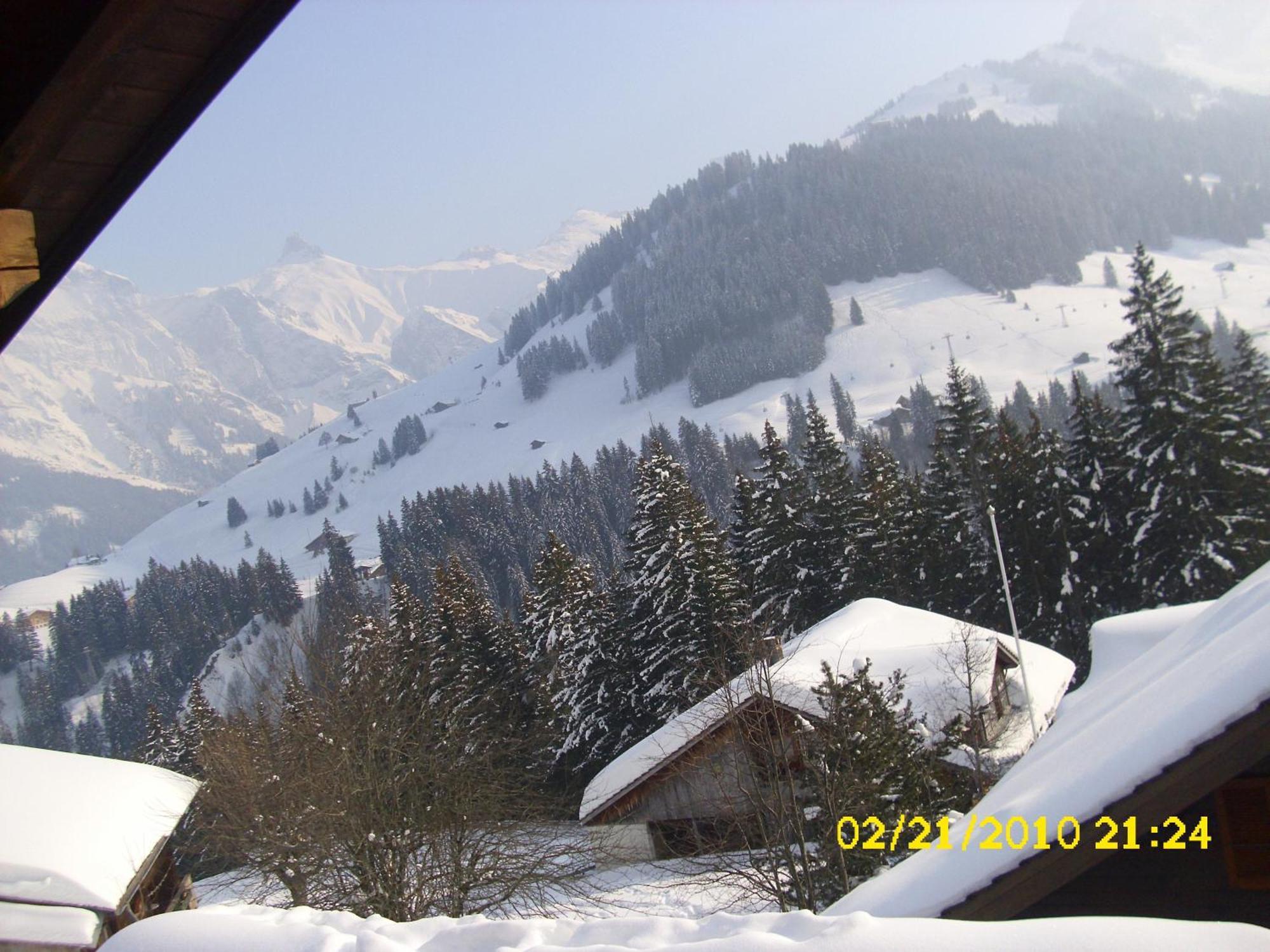 Apartment Nadeschda Adelboden Bagian luar foto