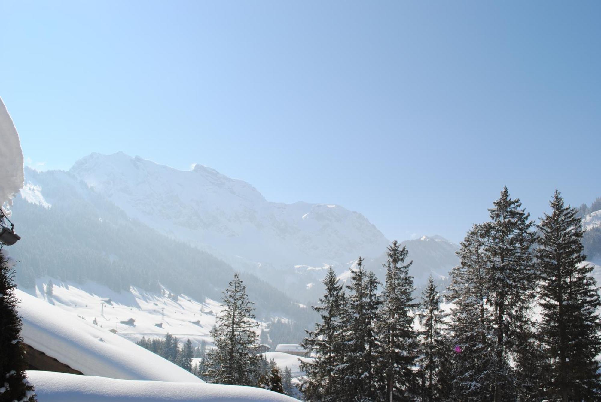 Apartment Nadeschda Adelboden Bagian luar foto