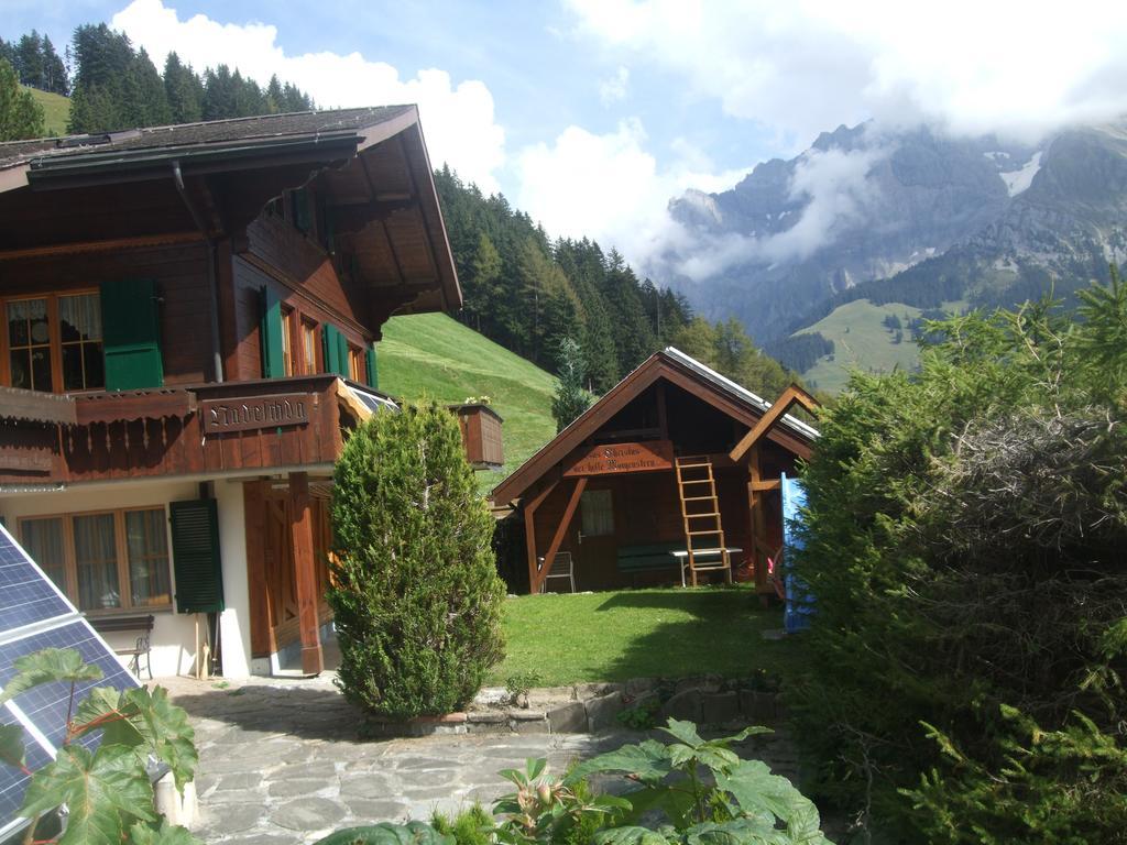 Apartment Nadeschda Adelboden Bagian luar foto